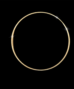 Argolla Lisa Oro 10k 2